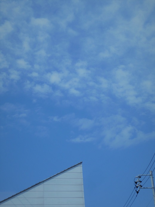 c0202113_1259123.jpg