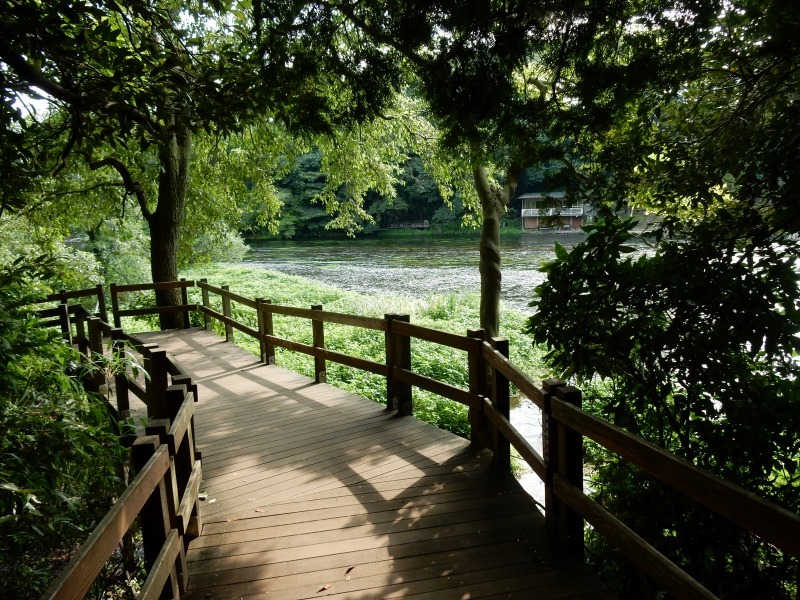 f0182513_23062922.jpg