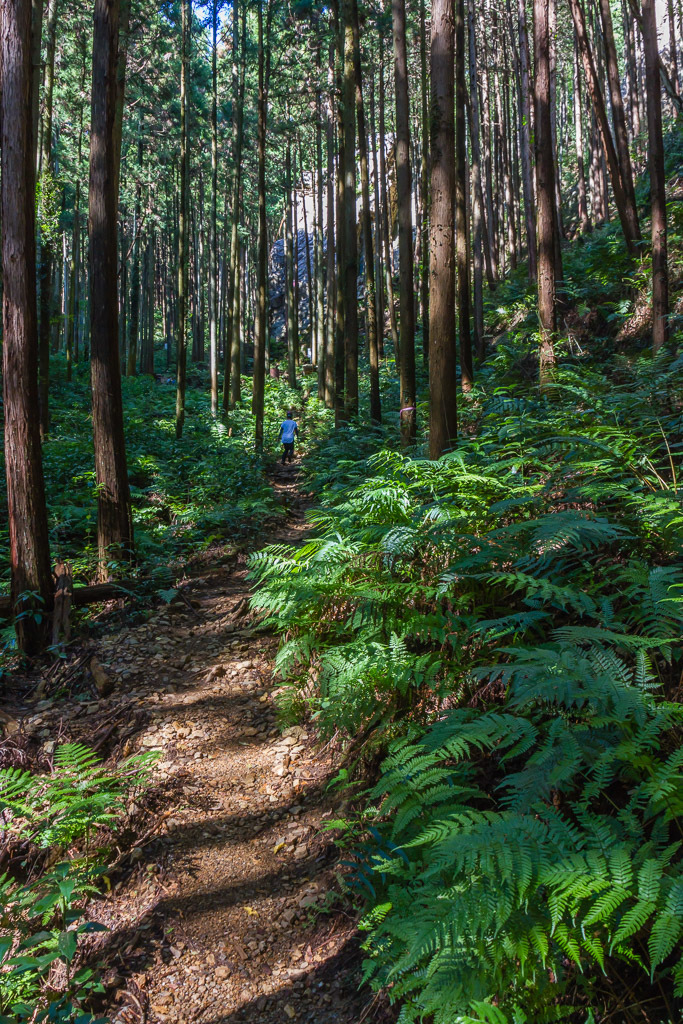 日和田山_b0010915_20292489.jpg