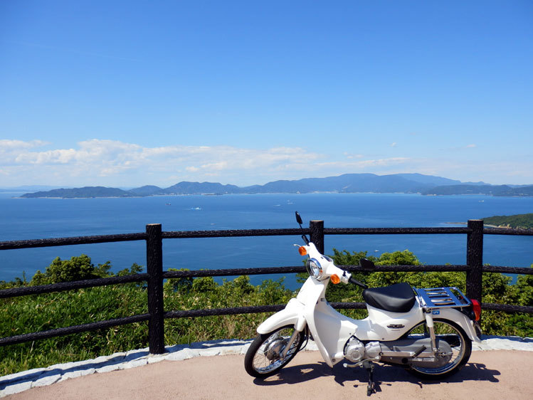 あじ竜王山公園でまさかの遭遇！？_c0299015_23484465.jpg