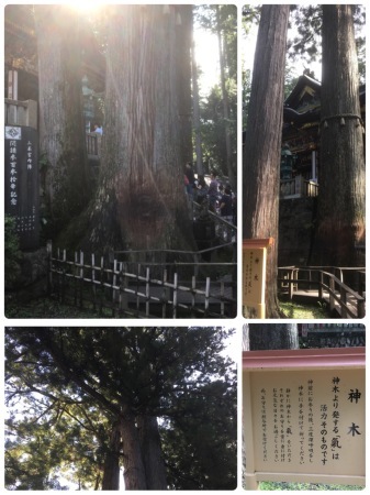 三峯神社の白い気守りと御眷属拝借 パワーストーンストアー茉莉花 店長のひとり言