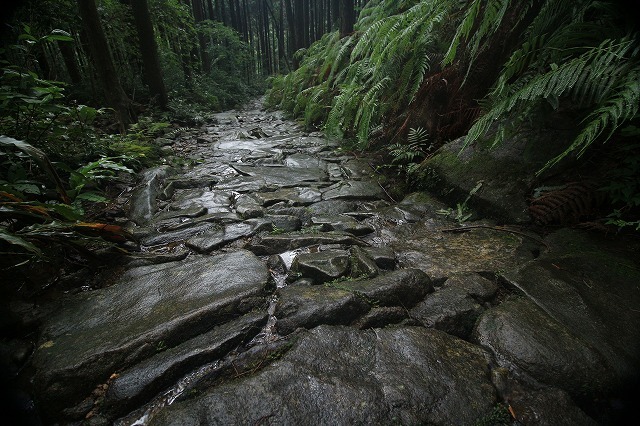 e0321325_13361899.jpg