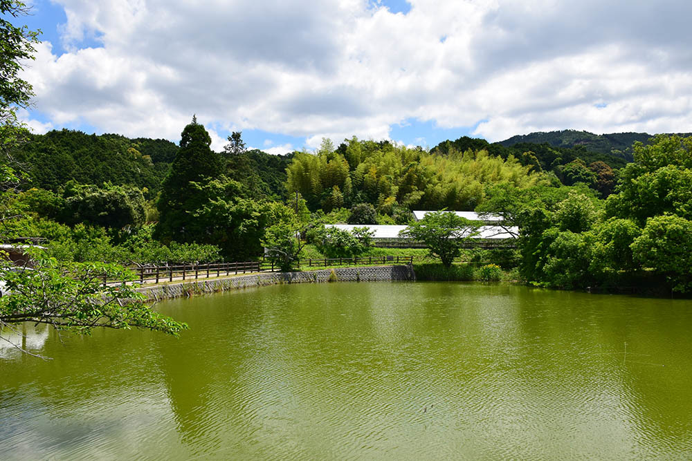 太平記を歩く。　その１２５　「内山永久寺跡（萱御所跡）」　奈良県天理市_e0158128_18181312.jpg