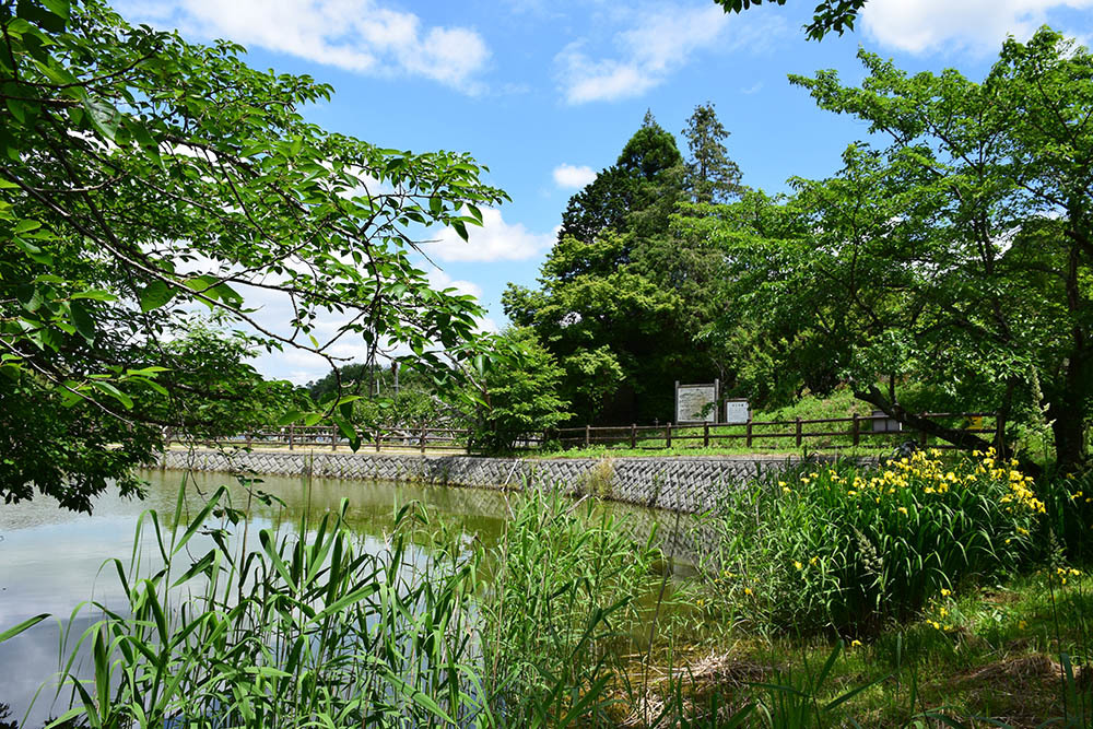 太平記を歩く。　その１２５　「内山永久寺跡（萱御所跡）」　奈良県天理市_e0158128_18211595.jpg