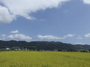 a0014840_8281539.jpg