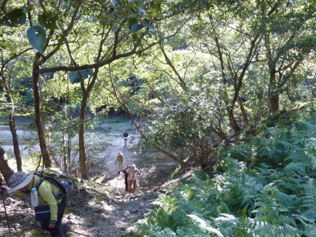 琵琶湖を眺めながらハイキング 『比良山縦走』_c0218841_15361394.jpg