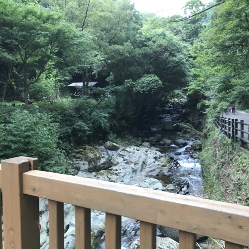 e0041047_05182889.jpg