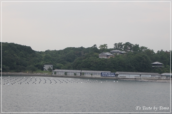 f0329049_13300329.jpg