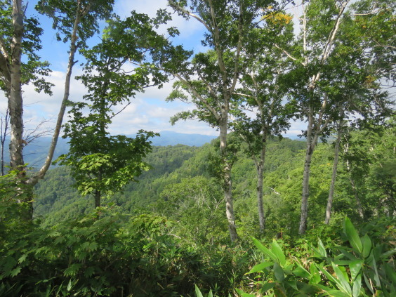 砥石山　秋の気配に誘われて_b0366555_17255523.jpg