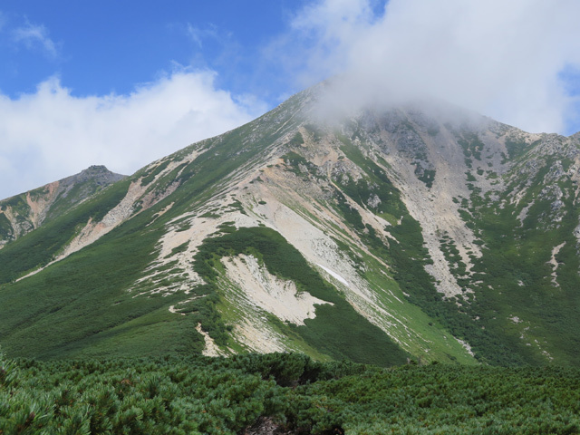 c0116856_20531270.jpg
