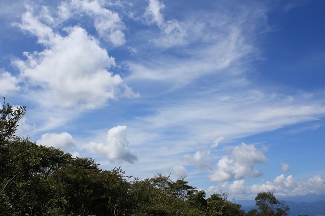 e0239458_21495516.jpg