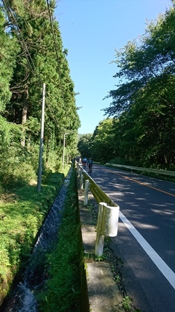 a0208560_15323849.jpg