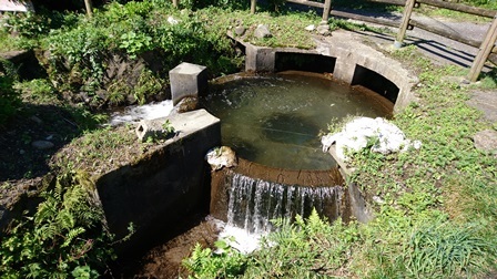 a0208560_15332520.jpg
