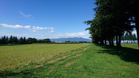 a0208560_15335633.jpg