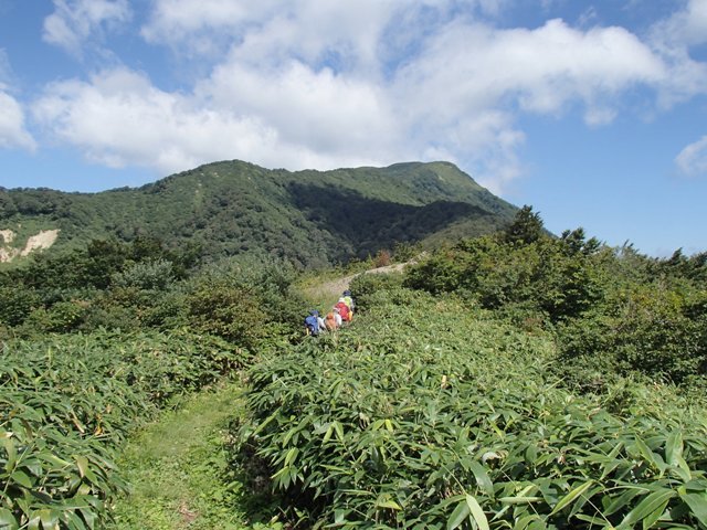 a0344771_18473173.jpg