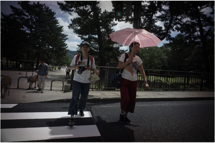 1871　奈良春日山（2017年8月22日クセノン50㎜F1.4が古代の息吹を）2　縄文時代③_c0168172_22215738.jpg