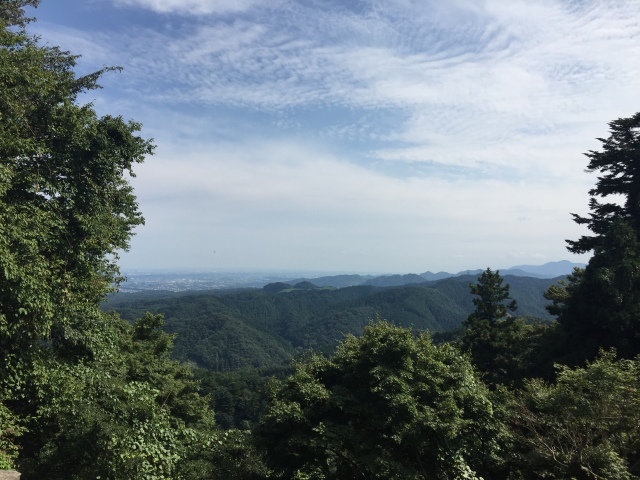 ねね子と高尾山  下山編_e0268075_09493612.jpg