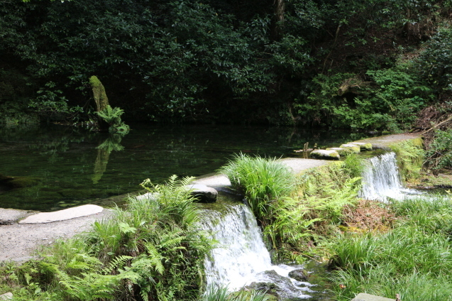 b0224178_11232603.jpg