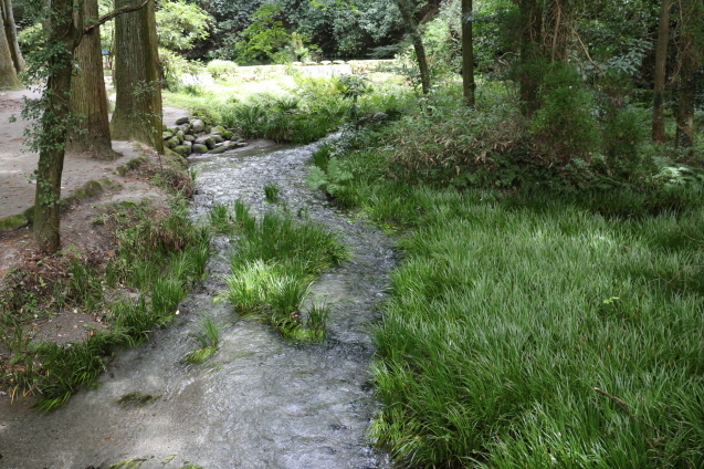 b0224178_11240437.jpg