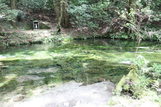 b0224178_11245214.jpg