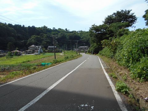 真夏の北日本海鉄道 4 (信越本線 鯨波駅~青海川駅/越後線/ほか)_b0005281_20541397.jpg