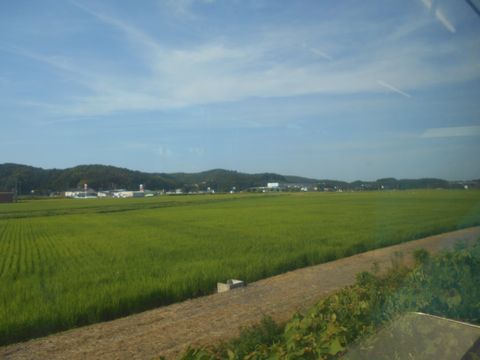 真夏の北日本海鉄道 4 (信越本線 鯨波駅~青海川駅/越後線/ほか)_b0005281_20572936.jpg