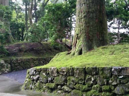 叡山を歩く(7)延暦寺会館_c0013687_619409.jpg