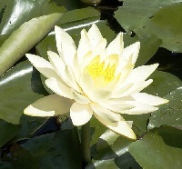 c0122791_17464548.jpg