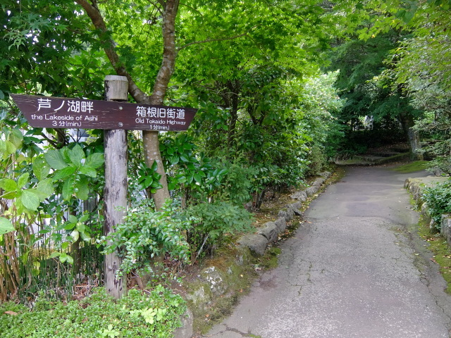 芦ノ湖で船に乗り、箱根駒ケ岳へ行き、石畳の旧街道を歩く_f0100593_07461950.jpg