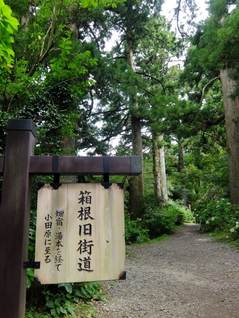 芦ノ湖で船に乗り、箱根駒ケ岳へ行き、石畳の旧街道を歩く_f0100593_07462582.jpg