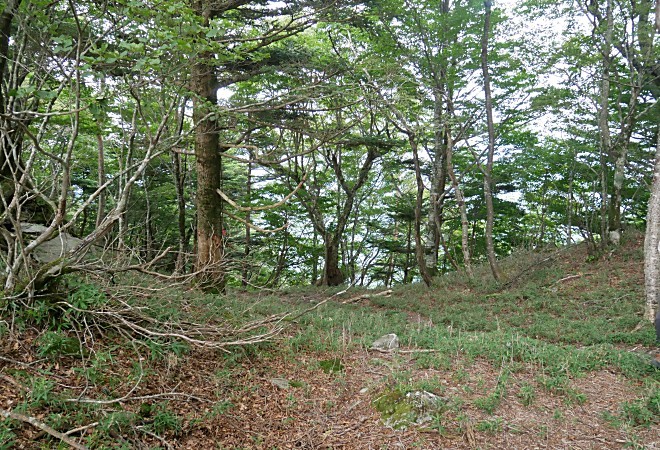 a0339396_23500083.jpg