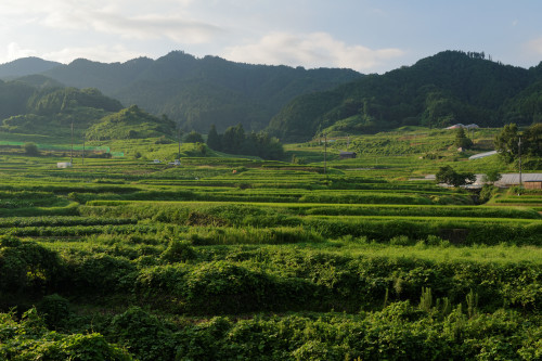 明日香村　散歩_e0366896_22213824.jpg