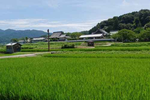 明日香村　散歩_e0366896_22225824.jpg