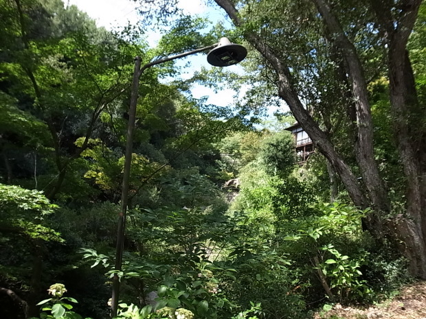 f0197703_17495456.jpg