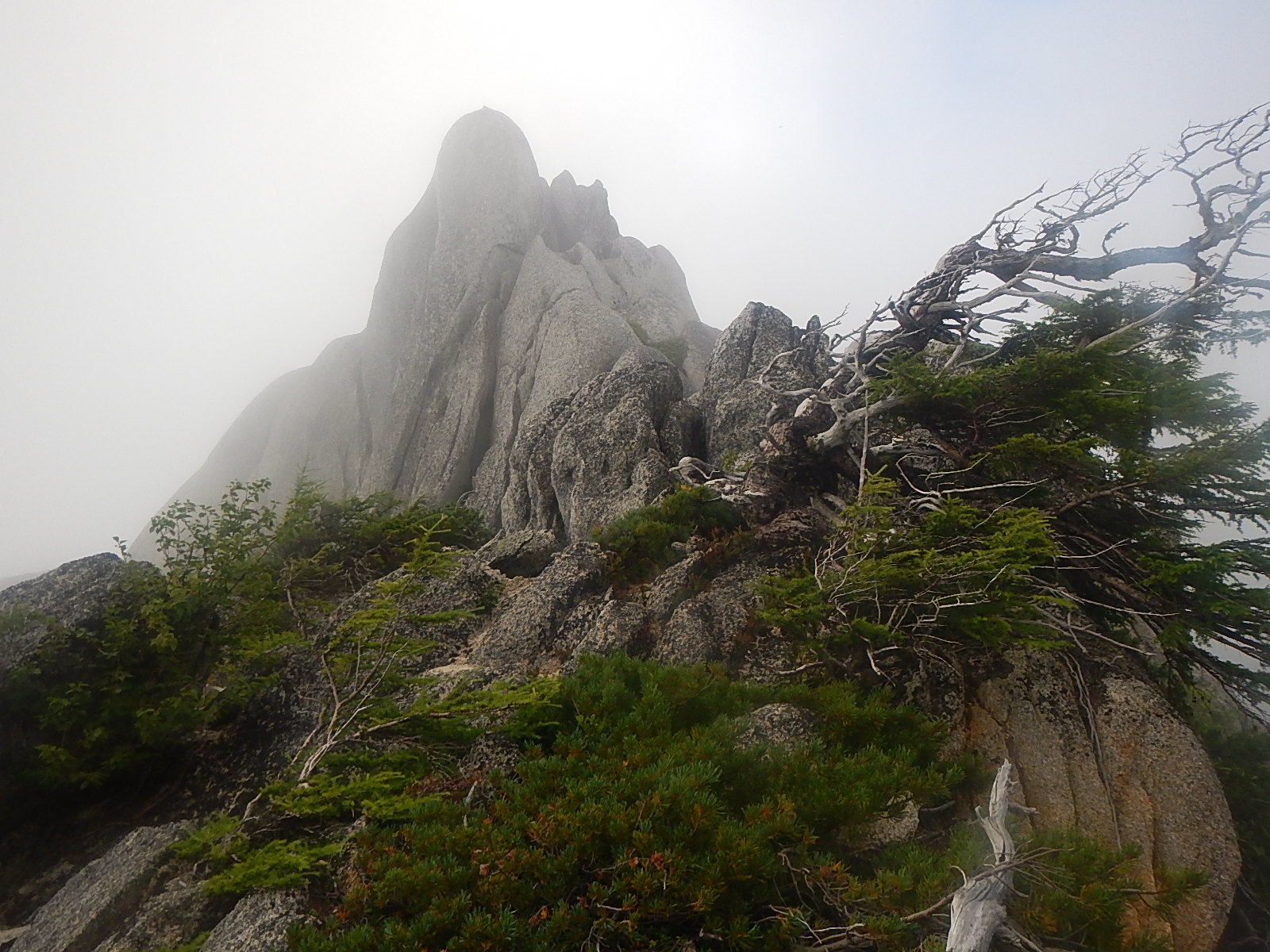 餓鬼岳〜唐沢岳(*\'▽\'*)♪_d0296106_21091668.jpg