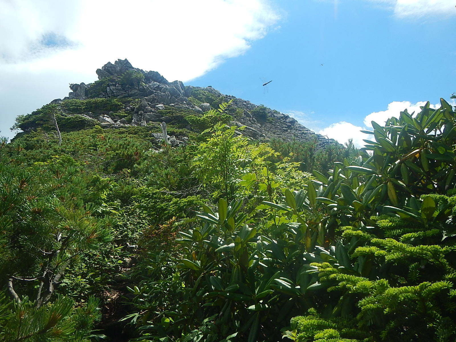 餓鬼岳〜唐沢岳(*\'▽\'*)♪_d0296106_22483903.jpg