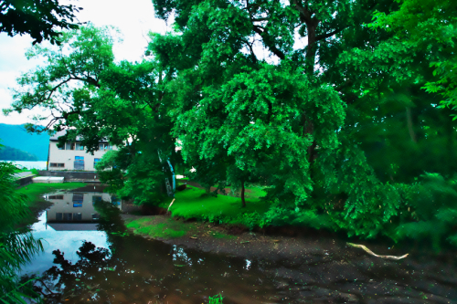 a0263109_09580910.jpg