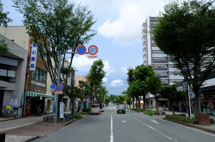 2017 夏休み 掛川編_e0000910_12243241.jpg