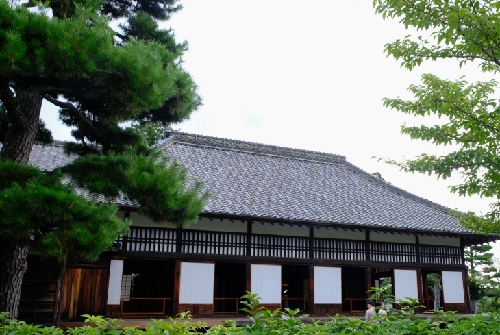 2017 夏休み 掛川編_e0000910_12562444.jpg