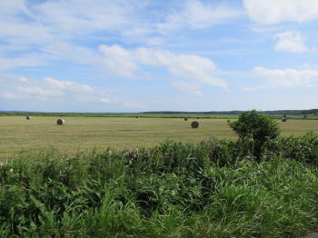 d0027711_1340116.jpg