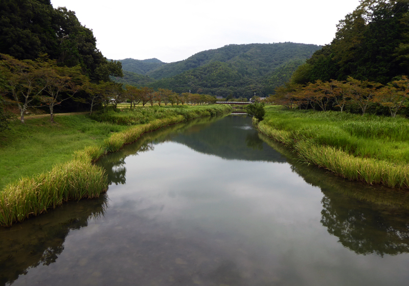 母なる川の小物釣り_c0120913_23506.jpg