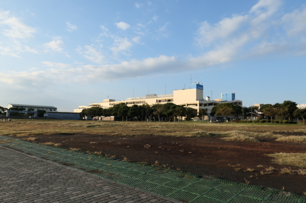 f0369014_14052819.jpg