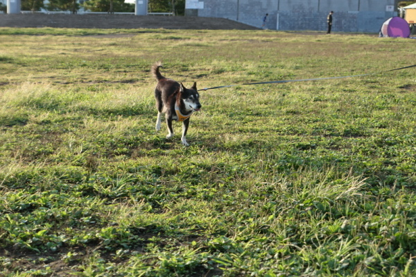 f0369014_14095983.jpg