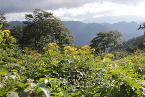 ピクニック気分の谷川岳_a0309917_08565546.jpg