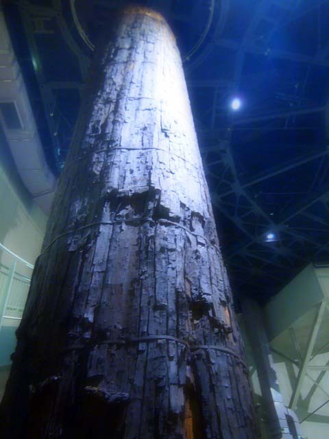 d0295818_01012615.jpg