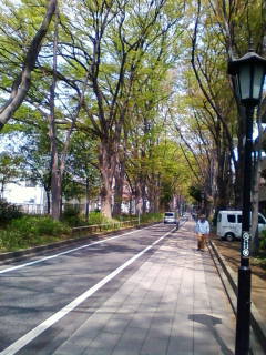 c0074721_16200806.jpg
