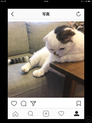 ナウシカ_e0062921_15420476.png