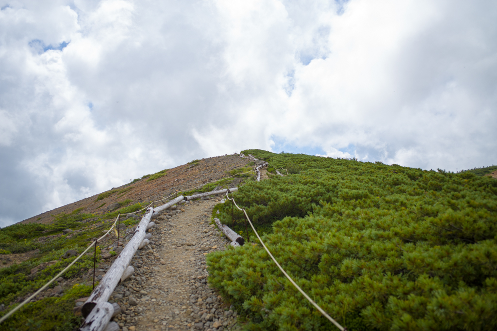 草津白根山　2017年08月19日（土）③_d0161322_08105635.jpg