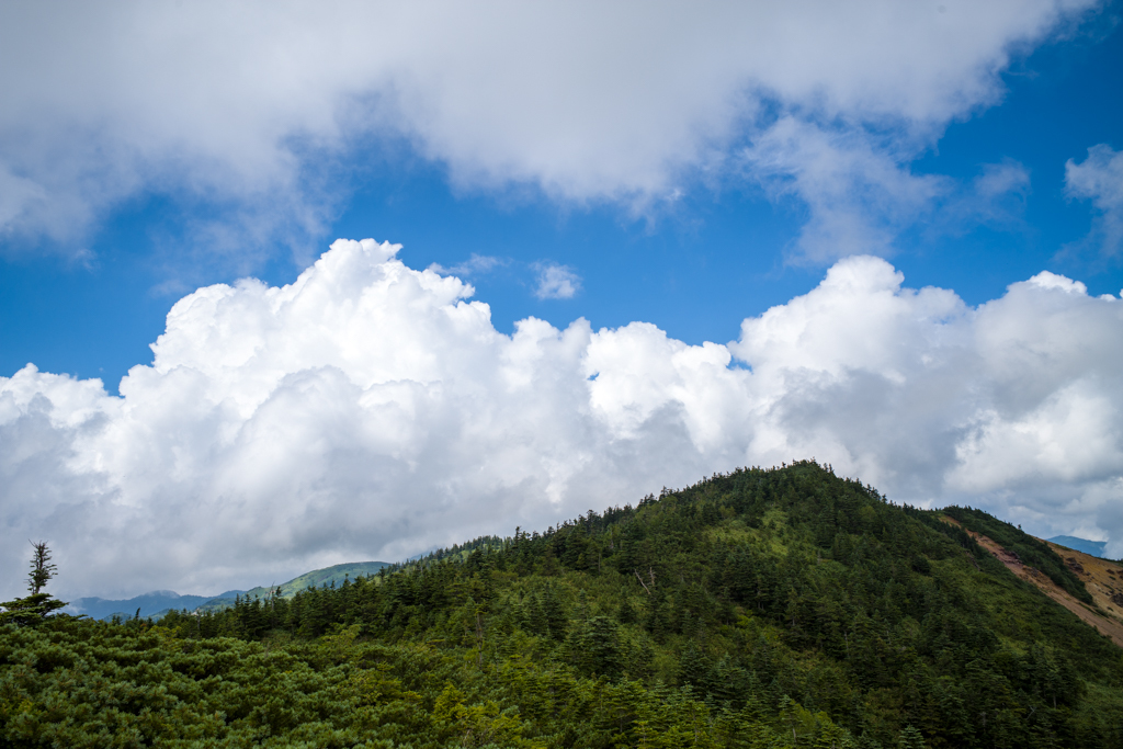 草津白根山　2017年08月19日（土）③_d0161322_08114091.jpg