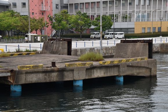 小倉から「猫の島」に！_e0158925_23364533.jpg